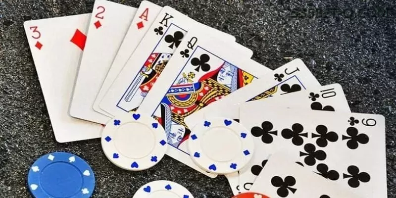 535bet multi dispositivo